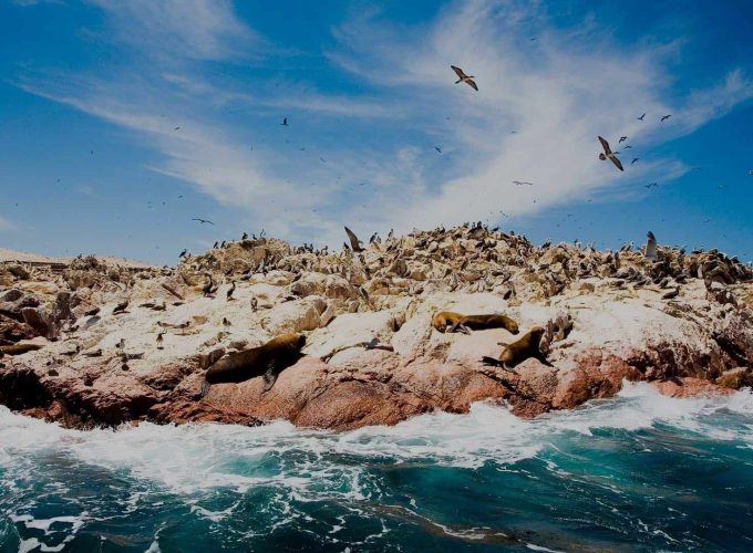Tour Islas Ballestas